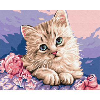 Синьооке кошеня - Інтернет-магазин спільних покупок ToGether