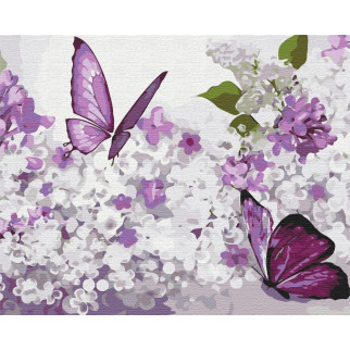 Бузкові метелики - Інтернет-магазин спільних покупок ToGether