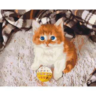 Грайливе кошеня - Інтернет-магазин спільних покупок ToGether