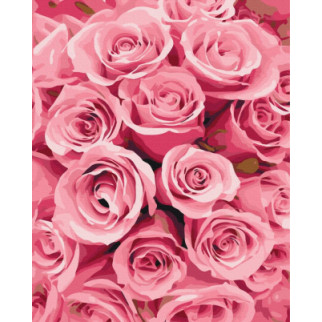 Троянди з мрій - Інтернет-магазин спільних покупок ToGether