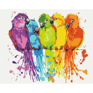 Різнокольорові папуги - Інтернет-магазин спільних покупок ToGether