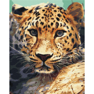Портрет леопарда - Інтернет-магазин спільних покупок ToGether