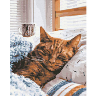Ранковий котик - Інтернет-магазин спільних покупок ToGether