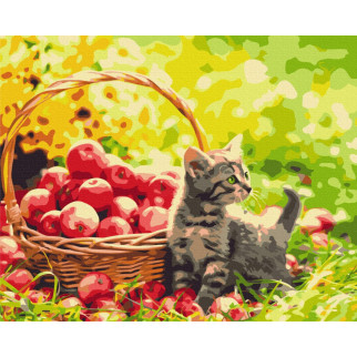 Яблучний котик - Інтернет-магазин спільних покупок ToGether