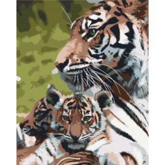 Сім'я тигрів - Інтернет-магазин спільних покупок ToGether