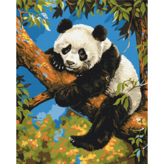 Лінива панда - Інтернет-магазин спільних покупок ToGether