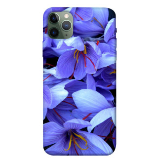 Чохол itsPrint Фіолетовий сад для Apple iPhone 11 Pro Max (6.5") - Інтернет-магазин спільних покупок ToGether