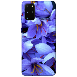 Чохол itsPrint Фіолетовий сад для Samsung Galaxy S20+ - Інтернет-магазин спільних покупок ToGether
