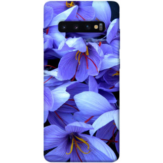 Чохол itsPrint Фіолетовий сад для Samsung Galaxy S10+ - Інтернет-магазин спільних покупок ToGether