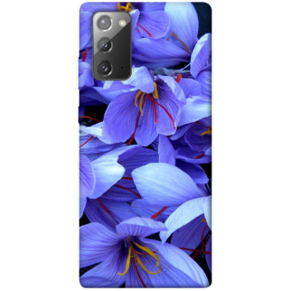 Чохол itsPrint Фіолетовий сад для Samsung Galaxy Note 20 - Інтернет-магазин спільних покупок ToGether