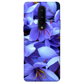 Чохол itsPrint Фіолетовий сад для OnePlus 8 - Інтернет-магазин спільних покупок ToGether