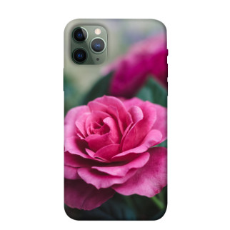 Чохол itsPrint Троянда у саду для Apple iPhone 11 Pro (5.8") - Інтернет-магазин спільних покупок ToGether