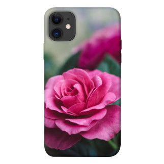 Чохол itsPrint Троянда у саду для Apple iPhone 11 (6.1") - Інтернет-магазин спільних покупок ToGether