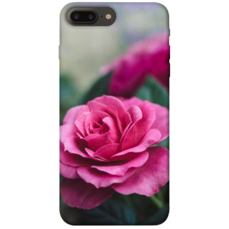 Чохол itsPrint Троянда у саду для Apple iPhone 7 plus / 8 plus (5.5") - Інтернет-магазин спільних покупок ToGether