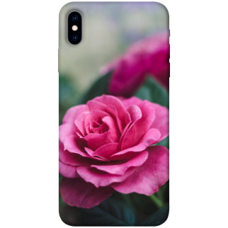 Чохол itsPrint Троянда у саду для Apple iPhone X (5.8") - Інтернет-магазин спільних покупок ToGether