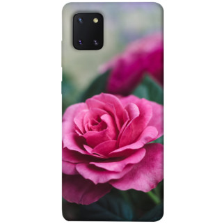 Чохол itsPrint Троянда у саду для Samsung Galaxy Note 10 Lite (A81) - Інтернет-магазин спільних покупок ToGether