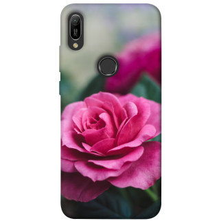 Чохол itsPrint Троянда у саду для Huawei Y6 (2019) - Інтернет-магазин спільних покупок ToGether
