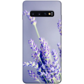 Чохол itsPrint Лаванда для Samsung Galaxy S10+ - Інтернет-магазин спільних покупок ToGether