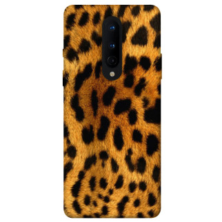 Чохол itsPrint Леопардовий принт для OnePlus 8 - Інтернет-магазин спільних покупок ToGether