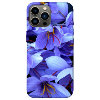 Чохол itsPrint Фіолетовий сад для Apple iPhone 12 Pro Max (6.7") - Інтернет-магазин спільних покупок ToGether