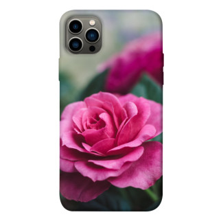 Чохол itsPrint Троянда у саду для Apple iPhone 12 Pro (6.1") - Інтернет-магазин спільних покупок ToGether