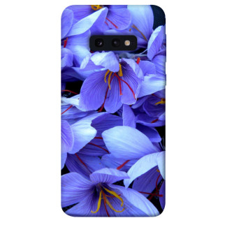 Чохол itsPrint Фіолетовий сад для Samsung Galaxy S10e - Інтернет-магазин спільних покупок ToGether