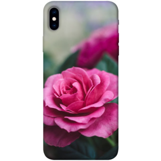 Чохол itsPrint Троянда у саду для Apple iPhone XS Max (6.5") - Інтернет-магазин спільних покупок ToGether