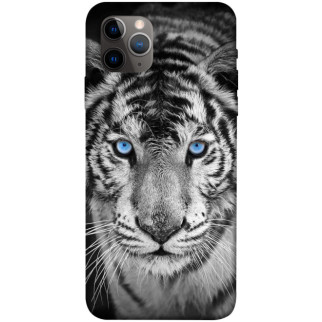 Чохол itsPrint Бенгальський тигр для Apple iPhone 11 Pro Max (6.5") - Інтернет-магазин спільних покупок ToGether