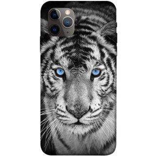 Чохол itsPrint Бенгальський тигр для Apple iPhone 11 Pro (5.8") - Інтернет-магазин спільних покупок ToGether