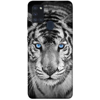 Чохол itsPrint Бенгальський тигр для Samsung Galaxy A21s - Інтернет-магазин спільних покупок ToGether