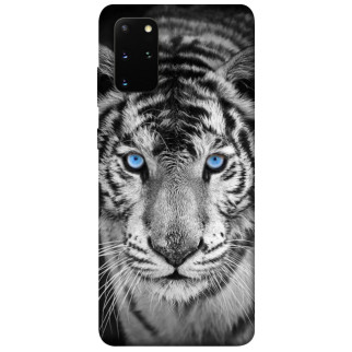 Чохол itsPrint Бенгальський тигр для Samsung Galaxy S20+ - Інтернет-магазин спільних покупок ToGether