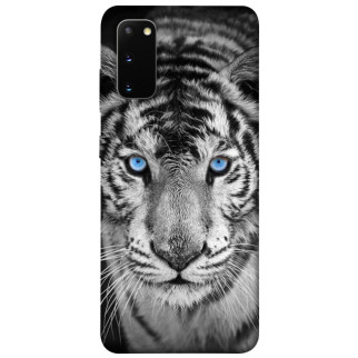 Чохол itsPrint Бенгальський тигр для Samsung Galaxy S20 - Інтернет-магазин спільних покупок ToGether
