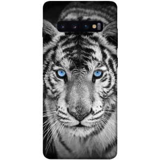 Чохол itsPrint Бенгальський тигр для Samsung Galaxy S10+ - Інтернет-магазин спільних покупок ToGether