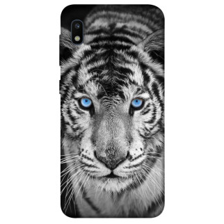 Чохол itsPrint Бенгальський тигр для Samsung Galaxy A10 (A105F) - Інтернет-магазин спільних покупок ToGether