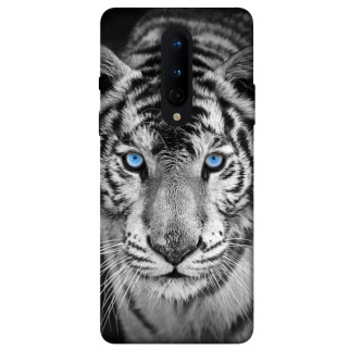Чохол itsPrint Бенгальський тигр для OnePlus 8 - Інтернет-магазин спільних покупок ToGether