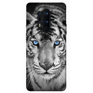 Чохол itsPrint Бенгальський тигр для OnePlus 8 Pro - Інтернет-магазин спільних покупок ToGether
