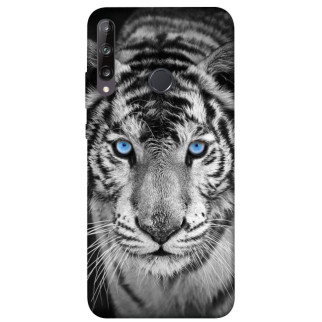 Чохол itsPrint Бенгальський тигр для Huawei P40 Lite E / Y7p (2020) - Інтернет-магазин спільних покупок ToGether