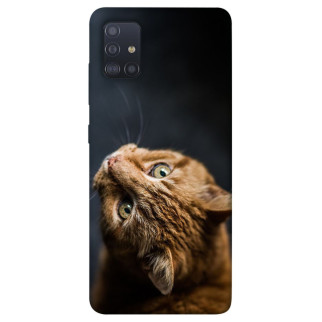 Чохол itsPrint Рудий кіт для Samsung Galaxy M51 - Інтернет-магазин спільних покупок ToGether