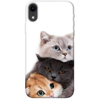 Чохол itsPrint Три коти для Apple iPhone XR (6.1") - Інтернет-магазин спільних покупок ToGether
