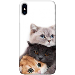 Чохол itsPrint Три коти для Apple iPhone X (5.8") - Інтернет-магазин спільних покупок ToGether