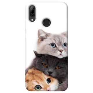 Чохол itsPrint Три коти для Huawei P Smart (2019) - Інтернет-магазин спільних покупок ToGether