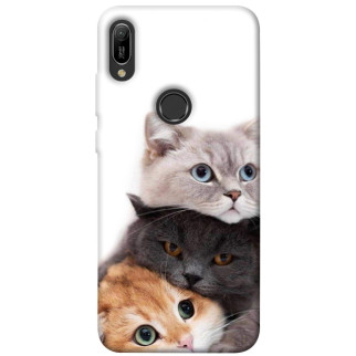 Чохол itsPrint Три коти для Huawei Y6 (2019) - Інтернет-магазин спільних покупок ToGether