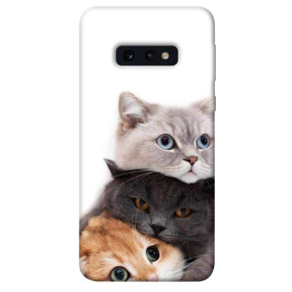 Чохол itsPrint Три коти для Samsung Galaxy S10e - Інтернет-магазин спільних покупок ToGether