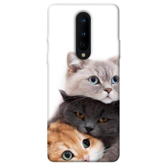 Чохол itsPrint Три коти для OnePlus 8 - Інтернет-магазин спільних покупок ToGether