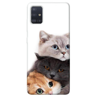 Чохол itsPrint Три коти для Samsung Galaxy M51 - Інтернет-магазин спільних покупок ToGether