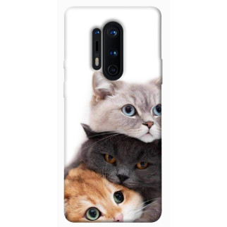 Чохол itsPrint Три коти для OnePlus 8 Pro - Інтернет-магазин спільних покупок ToGether