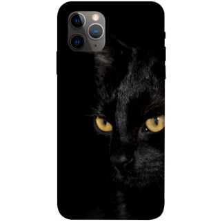 Чохол itsPrint Чорний кіт для Apple iPhone 11 Pro (5.8") - Інтернет-магазин спільних покупок ToGether