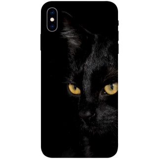 Чохол itsPrint Чорний кіт для Apple iPhone X (5.8") - Інтернет-магазин спільних покупок ToGether