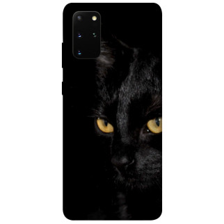 Чохол itsPrint Чорний кіт для Samsung Galaxy S20+ - Інтернет-магазин спільних покупок ToGether