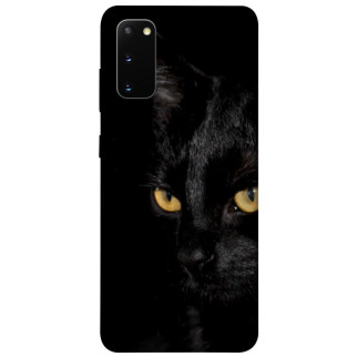 Чохол itsPrint Чорний кіт для Samsung Galaxy S20 - Інтернет-магазин спільних покупок ToGether